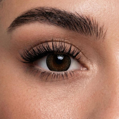 Luna Gray Edge Sparkle contact lens on eye with deep brown center and sparkling gray edge